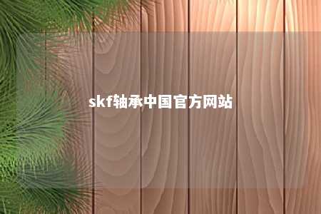 skf轴承中国官方网站 
